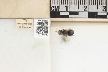 Media type: image;   Entomology 790587 Aspect: Labels